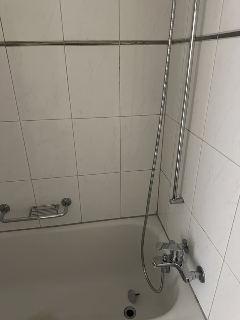 3-Zimmer-Wohnung im 2. Stock in Bad Zurzach zu vermieten ab sofort (8)