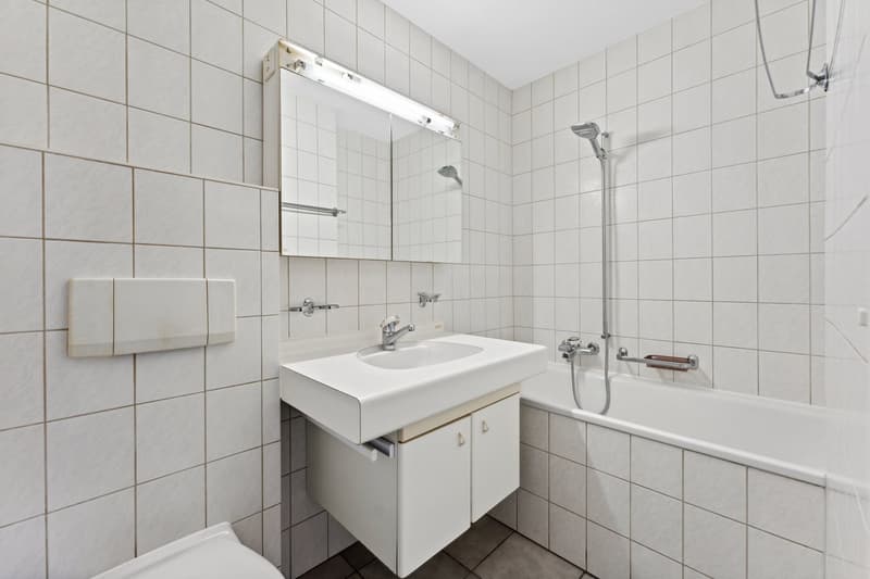 Charmante 3-Zimmer-Wohnung (8)