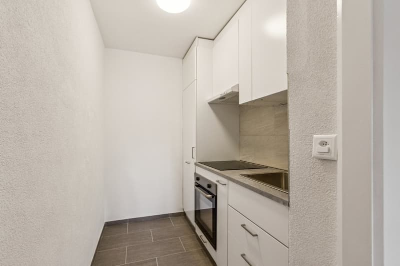 Appartement de 2 pièces entièrement rénové au 1er étage  disponible de suite (8)