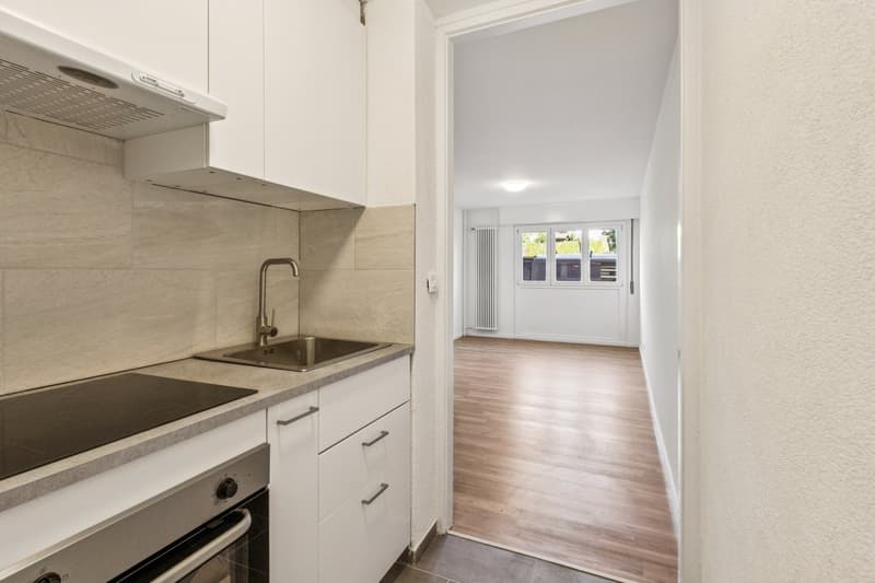 Appartement de 2 pièces entièrement rénové au 1er étage  disponible de suite (7)