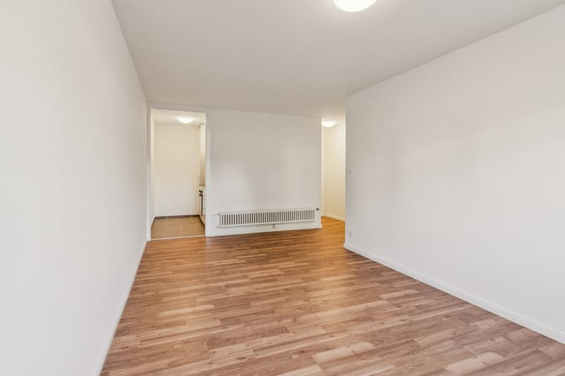 Appartement de 2 pièces entièrement rénové au 1er étage  disponible de suite (5)