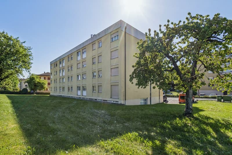Appartement de 2 pièces entièrement rénové au 1er étage  disponible de suite (10)