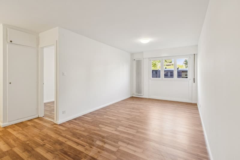 Appartement de 2 pièces entièrement rénové au 1er étage  disponible de suite (3)