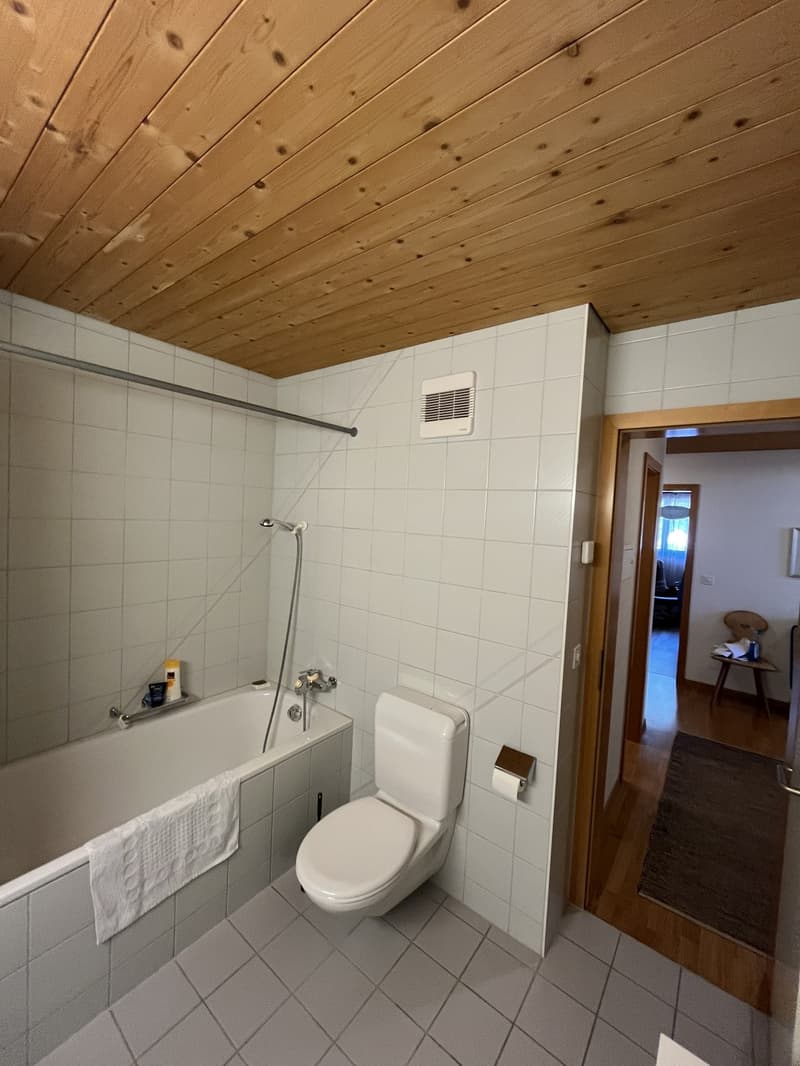 Charmante 3.5-Zimmer-Dachwohnung im 4. Obergeschoss in Meiringen (9)