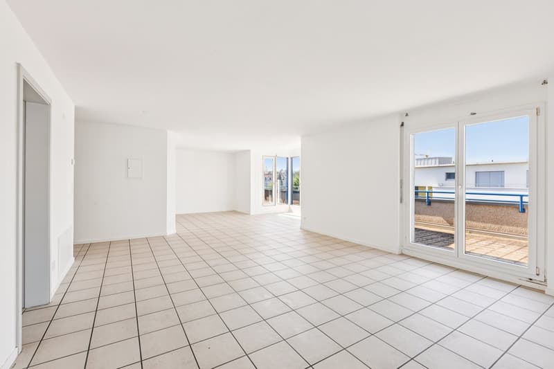Magnifique appartement rénové de 5,5 pièces avec grande terrasse et vue dégagée à Bienne (4)