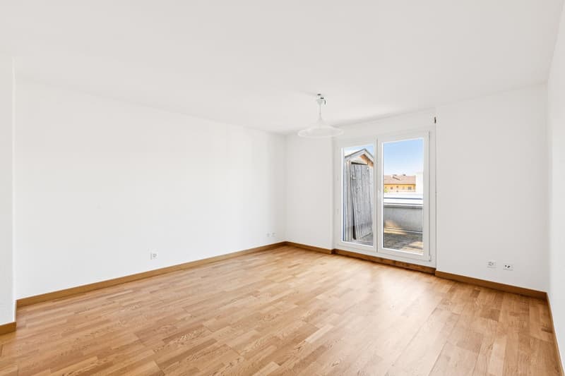 Magnifique appartement rénové de 5,5 pièces avec grande terrasse et vue dégagée à Bienne (1)