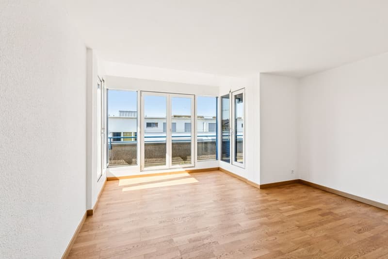 Magnifique appartement rénové de 5,5 pièces avec grande terrasse et vue dégagée à Bienne (3)