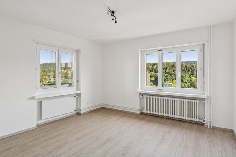 Bel appartement de 3.5 pièces rénové  Disponible de suite (6)