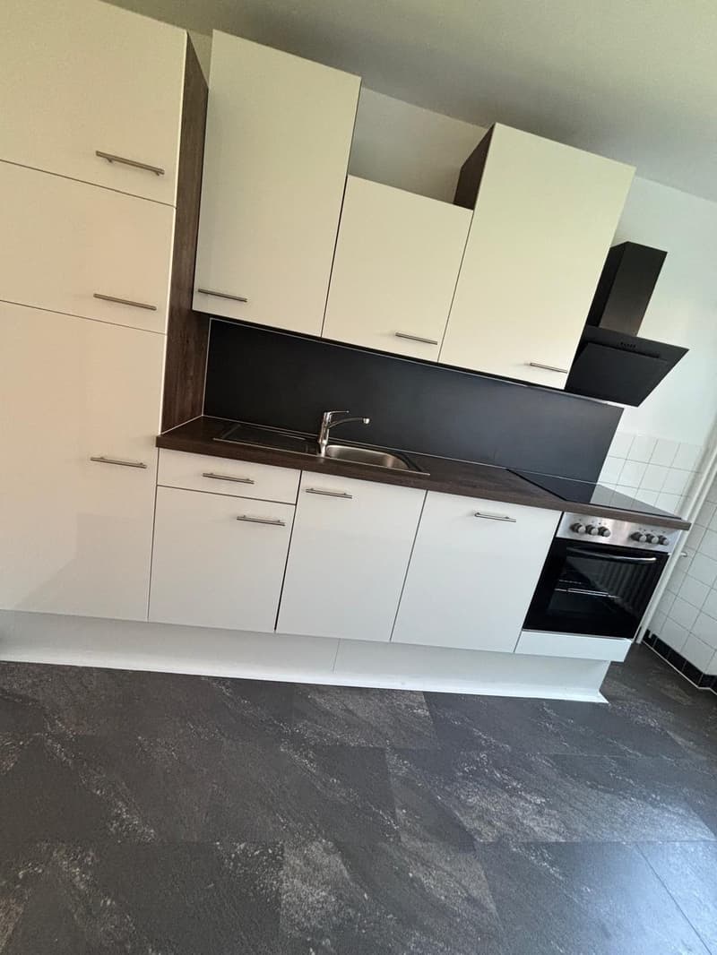 Magnifique appartement de 2 pièces à Bussigny (5)