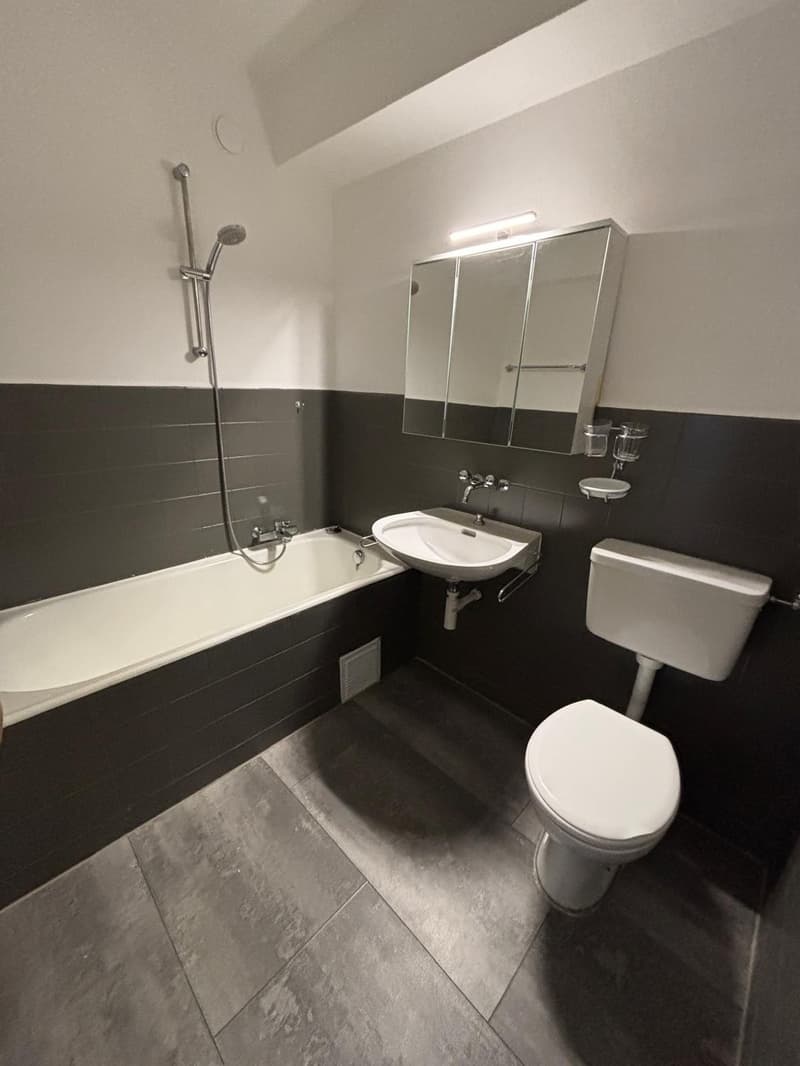 Magnifique appartement de 2 pièces à Bussigny (7)
