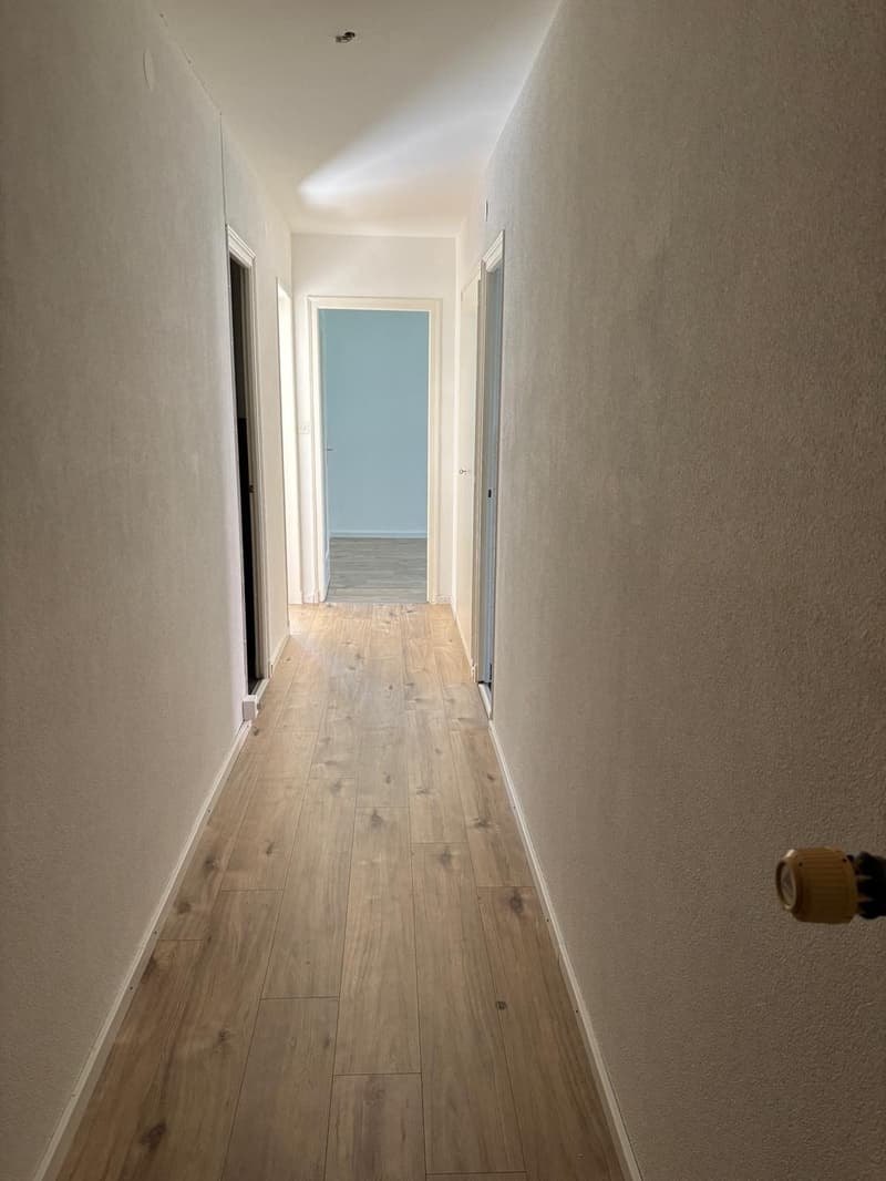Magnifique appartement de 2 pièces à Bussigny (4)