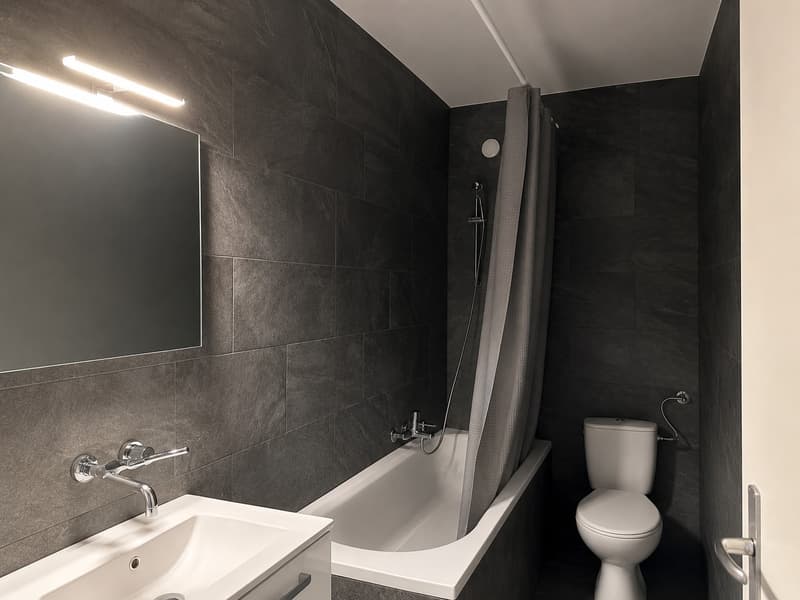 Magnifique appartement de 2 pièces à Bussigny (6)