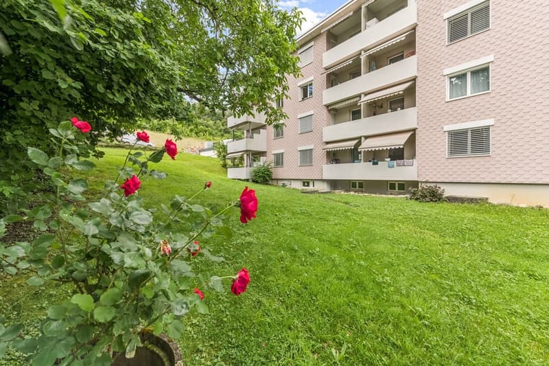 3-Zimmer-Wohnung im 2. Stock in Bad Zurzach zu vermieten (11)