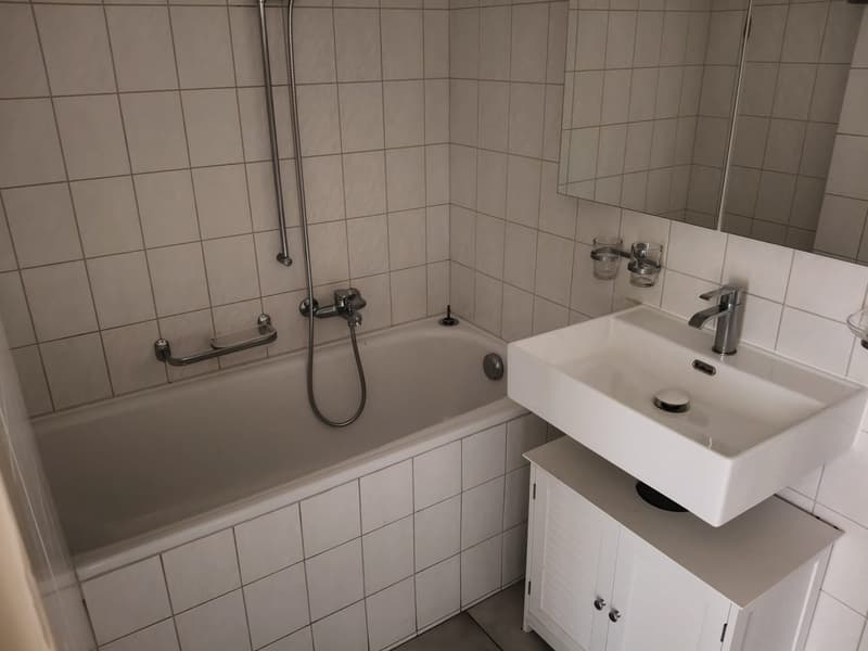 Wunderschöne 3 Zimmerwohnung (6)