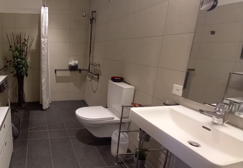 wunderschöne Alterswohnung in Zürich-Albisrieden (4)