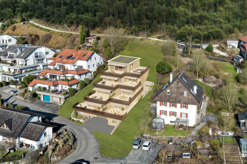 BAUFORTSCHRITT: HANGSICHERUNG VOLLENDET - BELLA VISTA.CH NIMMT FORM AN (10)