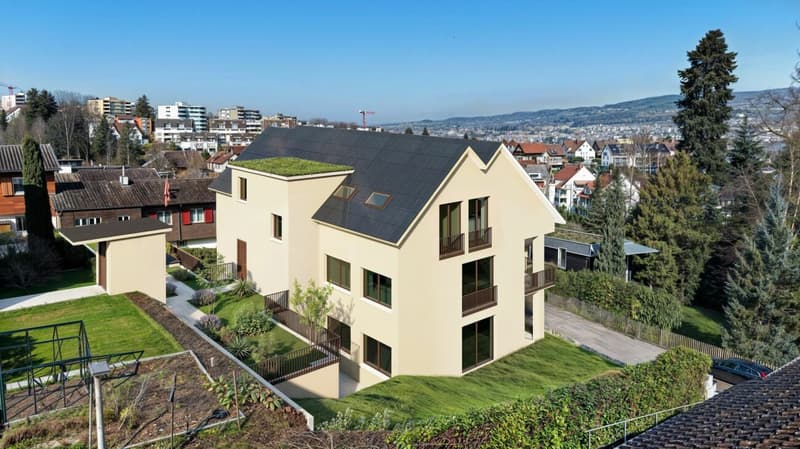 DIE KRÖNUNG DES HAUSES NIMMT FORM AN - DACHWOHNUNG IM BAU (13)