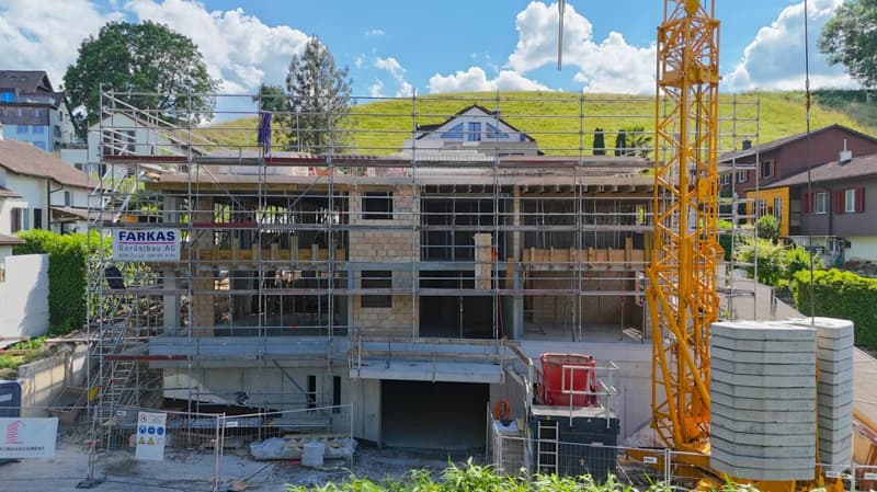 DIE KRÖNUNG DES HAUSES NIMMT FORM AN - DACHWOHNUNG IM BAU (1)