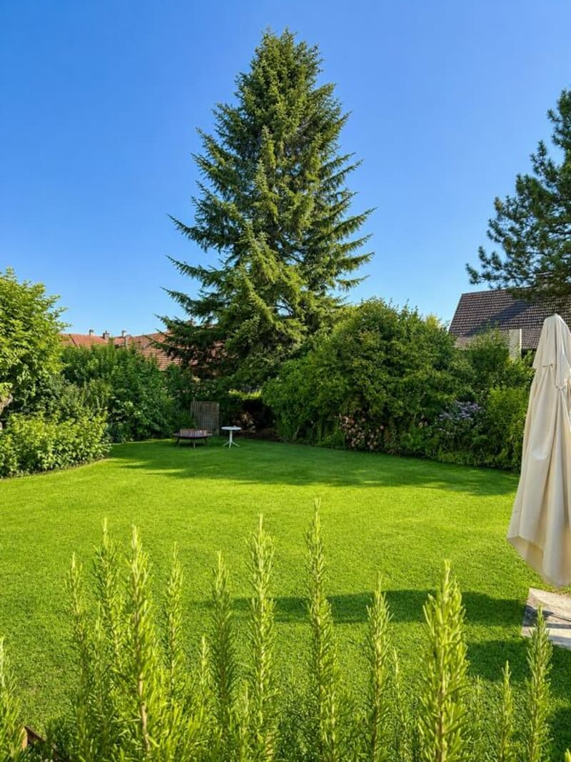 ZUHAUSE MIT CHARAKTER (12)