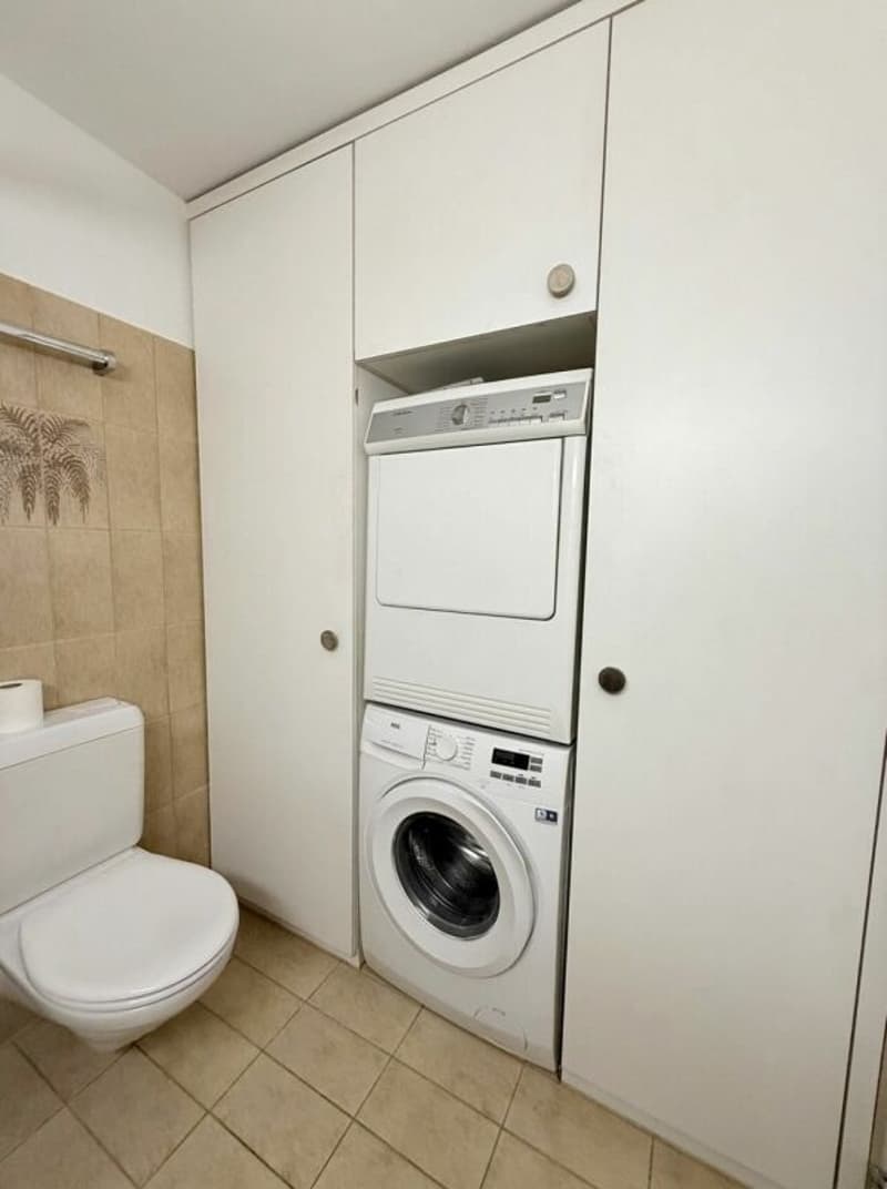 Gemütlich Zuhause - Studiowohnung (7)