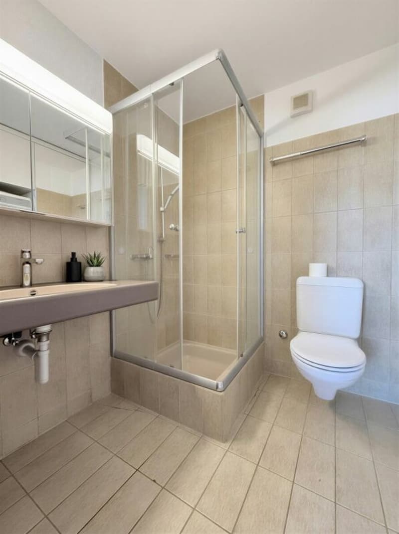 Gemütlich Zuhause - Studiowohnung (6)