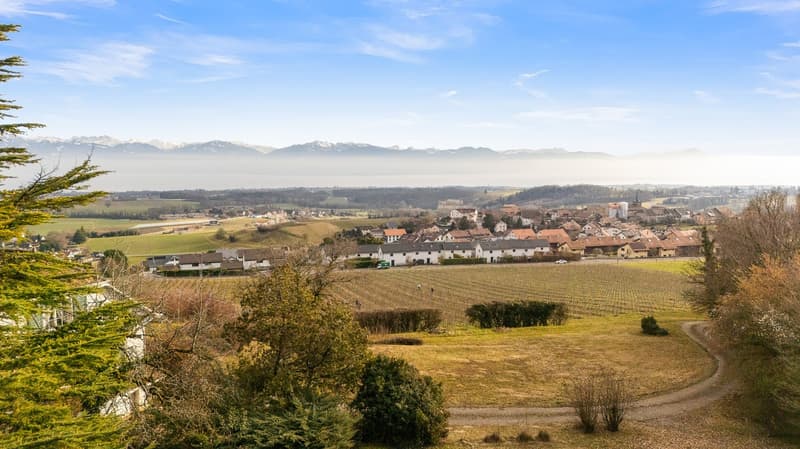 hilltop house, vineyard, mountains in the distance