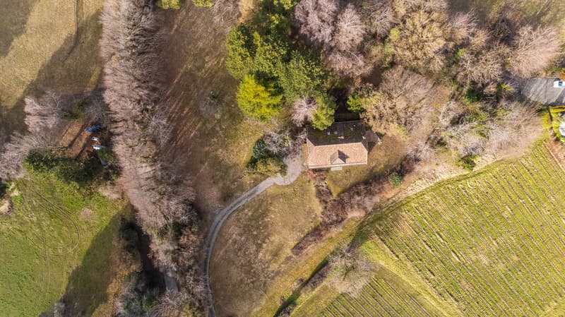 Single-story house, stone exterior, green roof, surrounded by fields and trees, with a driveway leading to the entrance