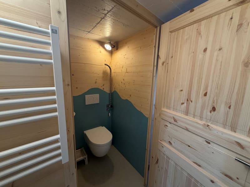 white toilet, silver toilet roll holder, wooden walls, small stool, ceiling light, wooden door