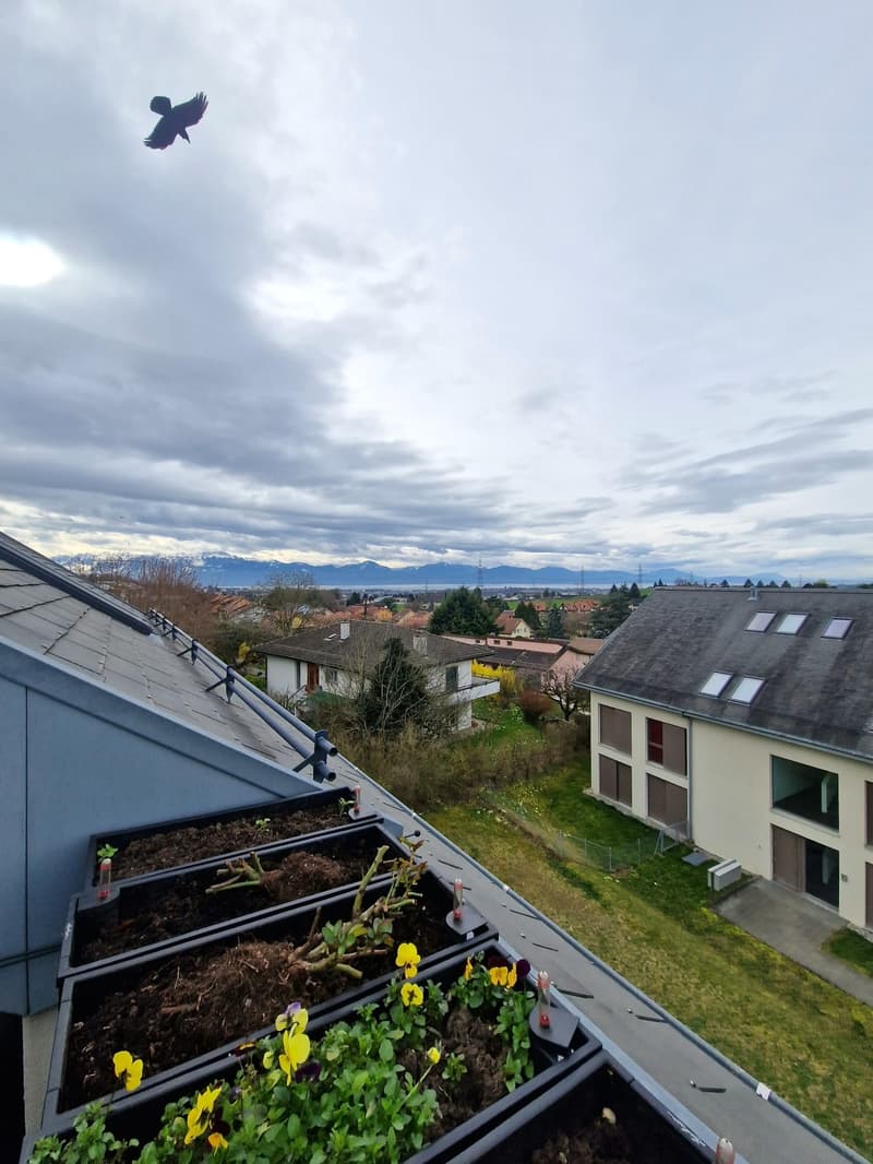 En exclusivité - Spacieux et lumineux duplex récent de 3.5 pièces avec vue partielle sur le lac (10)