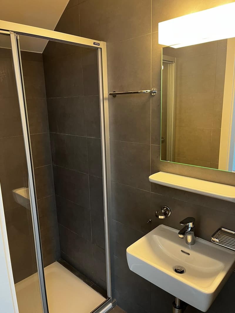 En exclusivité - Spacieux et lumineux duplex récent de 3.5 pièces avec vue partielle sur le lac (8)