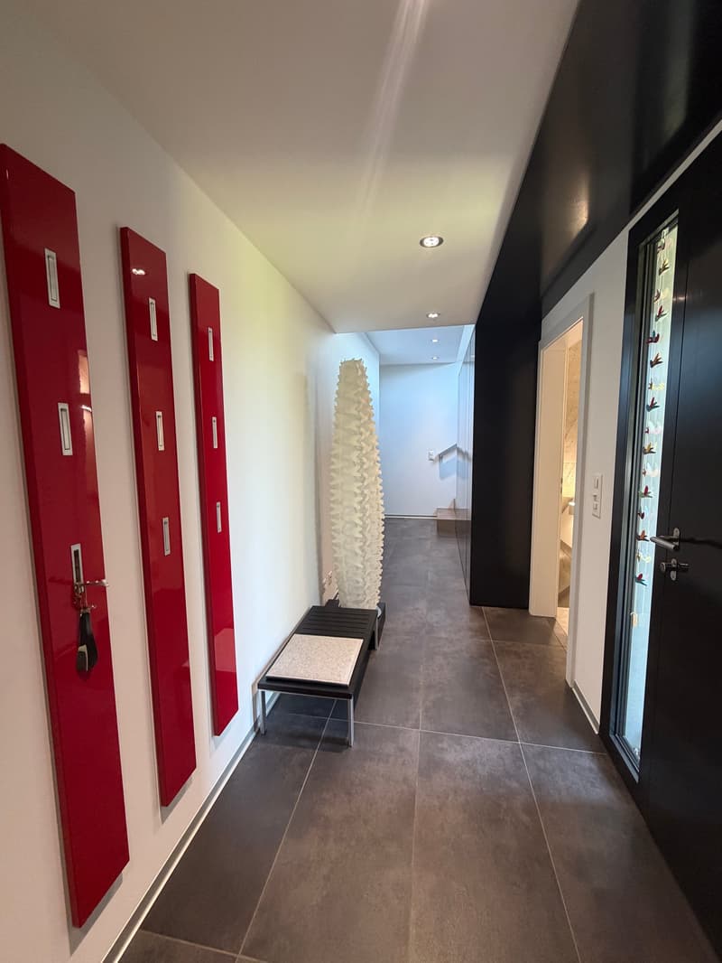 Magnifique et rare villa individuelle moderne de 7.5 pièces (9)