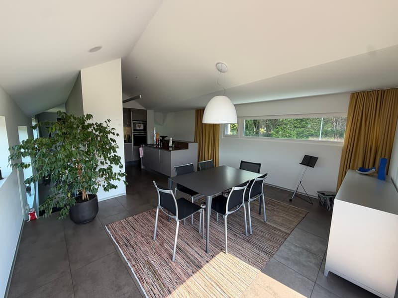 Magnifique et rare villa individuelle moderne de 7.5 pièces (5)
