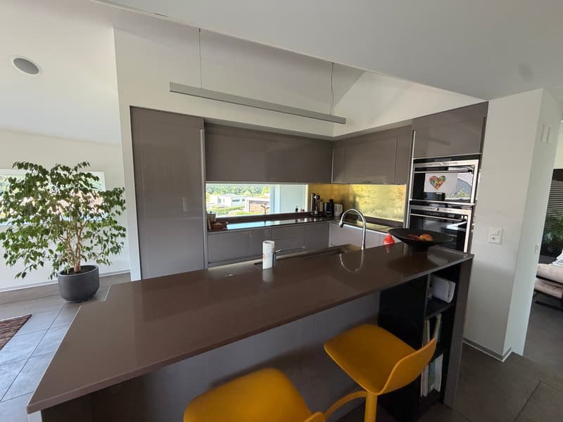 Magnifique et rare villa individuelle moderne de 7.5 pièces (6)