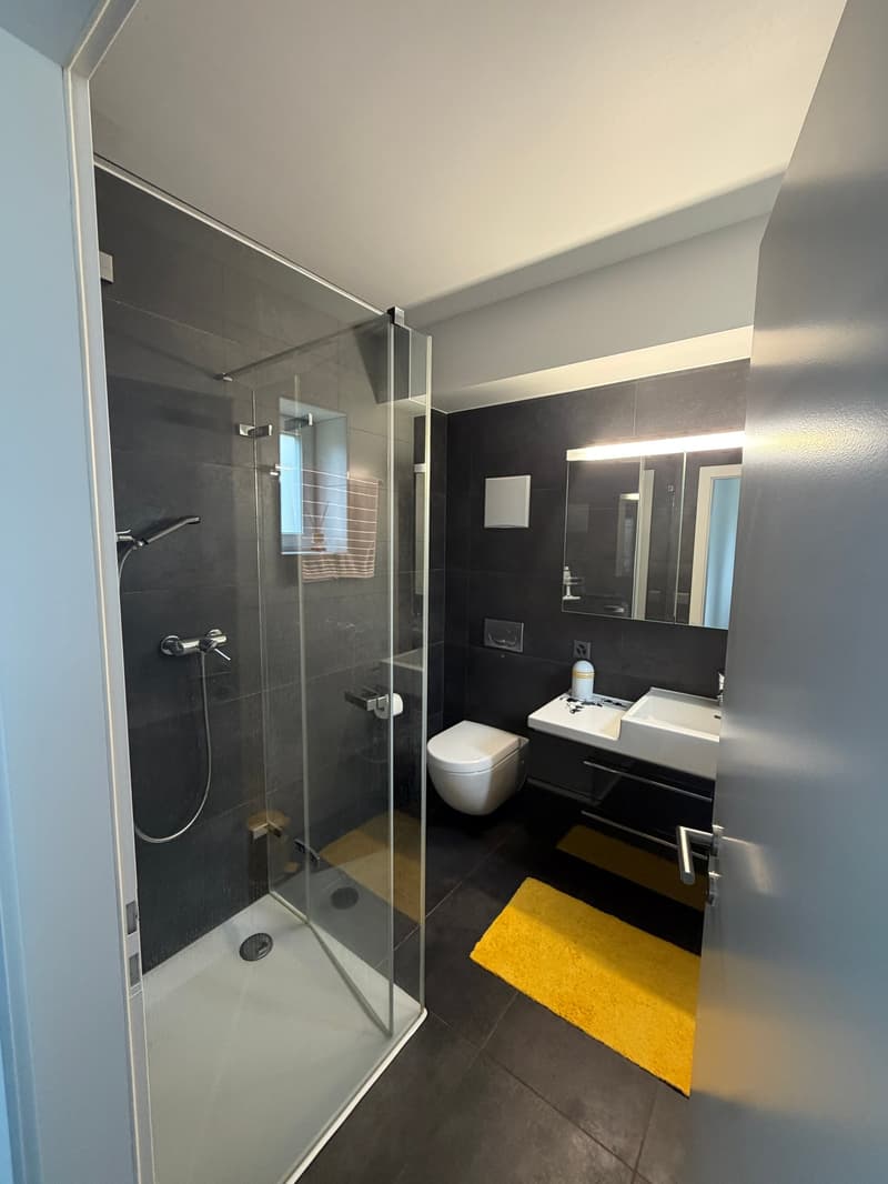 Magnifique et rare villa individuelle moderne de 7.5 pièces (14)