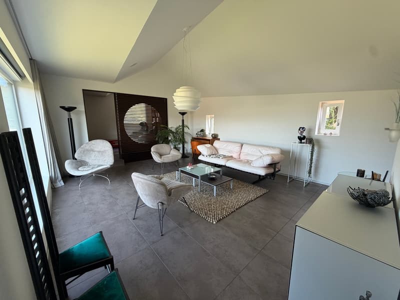Magnifique et rare villa individuelle moderne de 7.5 pièces (7)