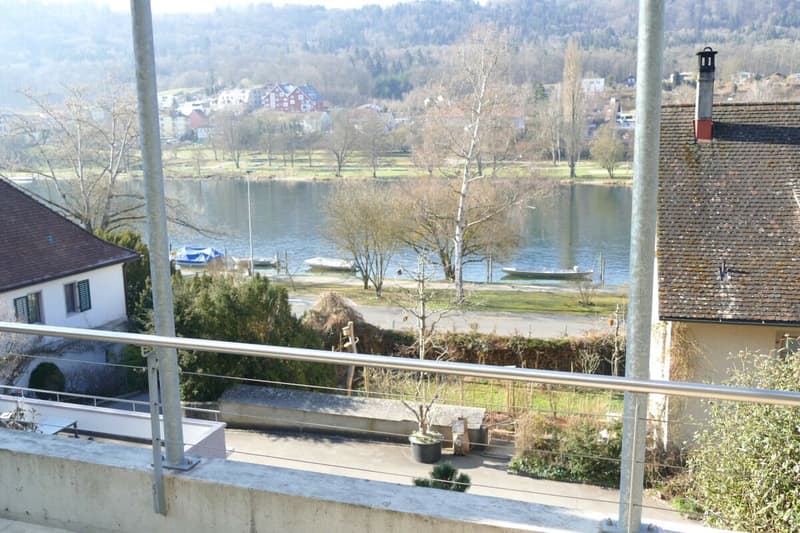 Aussicht Rhein