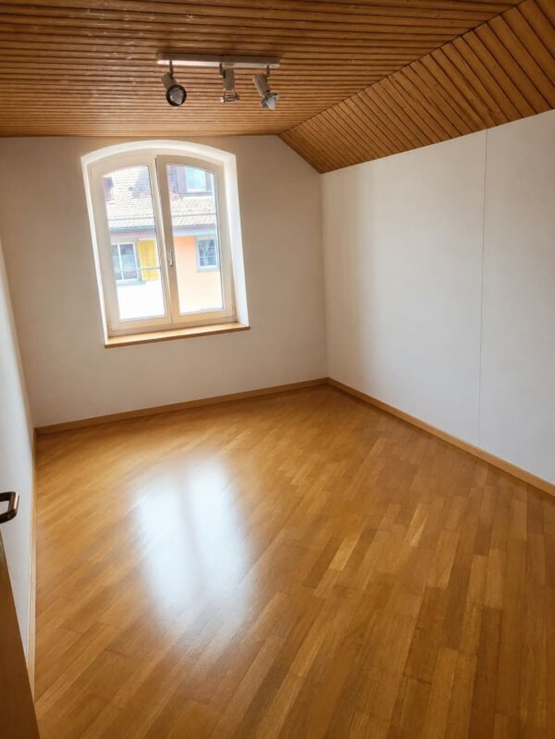 Zimmer1
