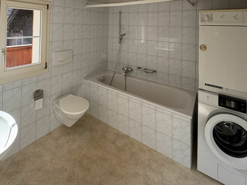Wohnhaus mit kleinem Laden (9)