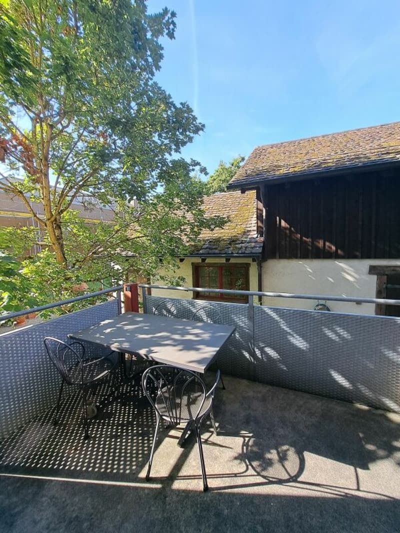 Charmante Wohlfühlwohnung (9)