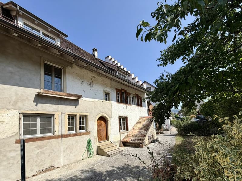 Historisches Haus mit besonderem Charakter (1)