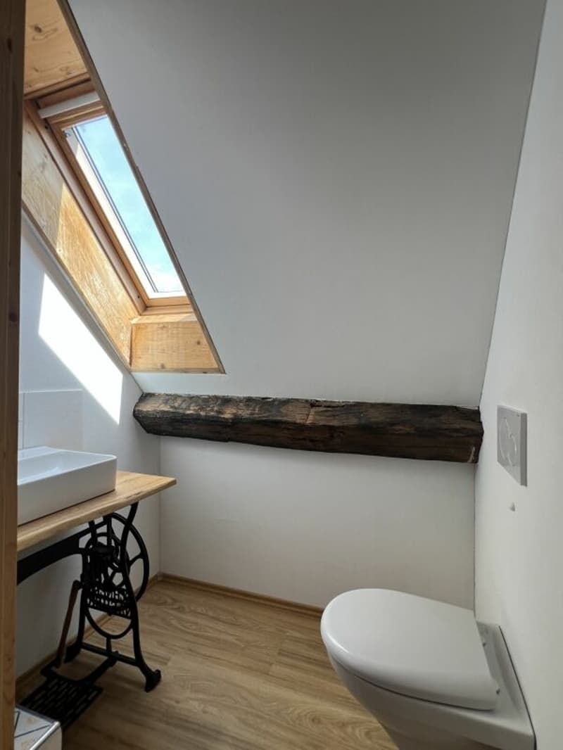 Historisches Haus mit besonderem Charakter (11)