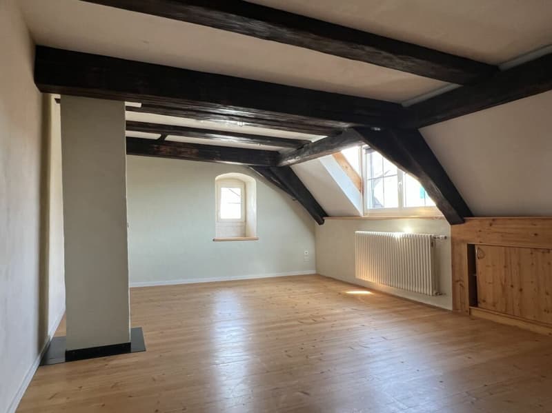 Historisches Haus mit besonderem Charakter (10)