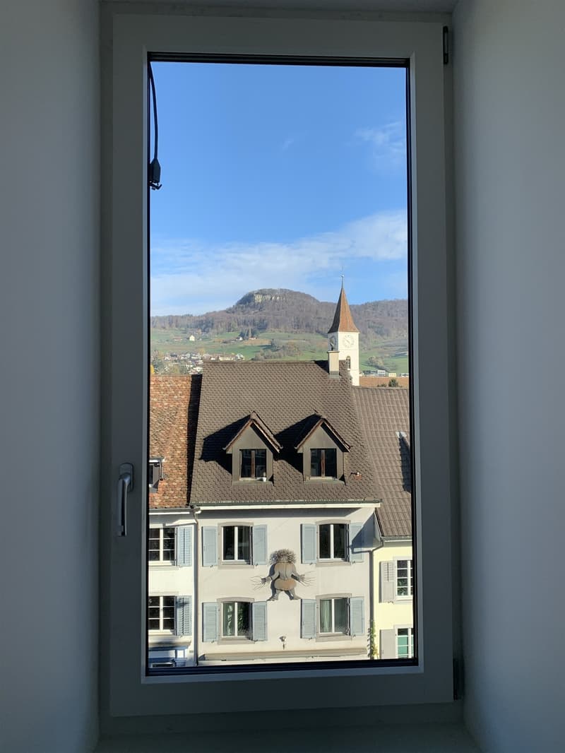 Ausblick Sissacherfluh