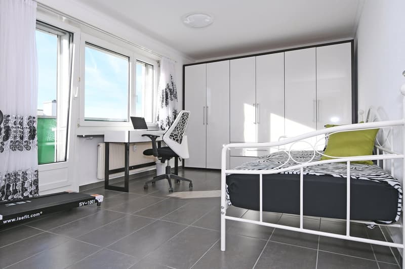 Spannende 4-Zi‘-Dachwohnung mit grosser Terrasse (9)