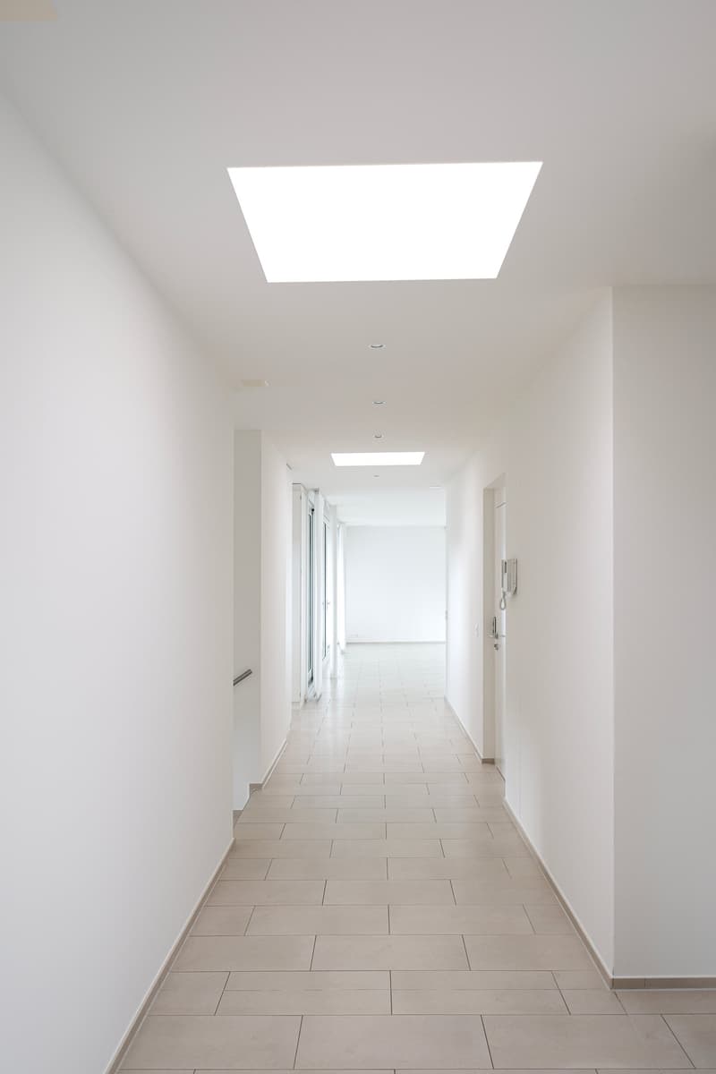 Grosszügige 5.5-Zimmer-Dachwohnung mit Panoramablick in Biel-Benken (6)