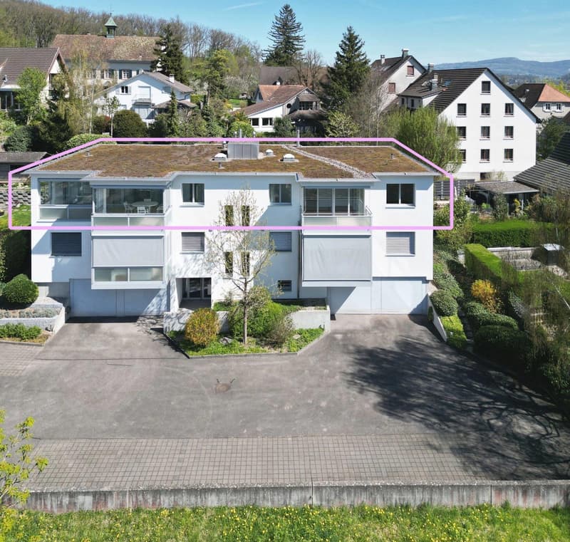 Grosszügige 5.5-Zimmer-Dachwohnung mit Panoramablick in Biel-Benken (2)