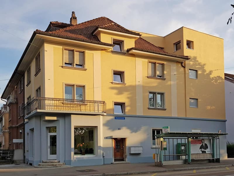 Entdecken Sie Ihr neues Zuhause in einer begehrten Lagen in Basel (1)