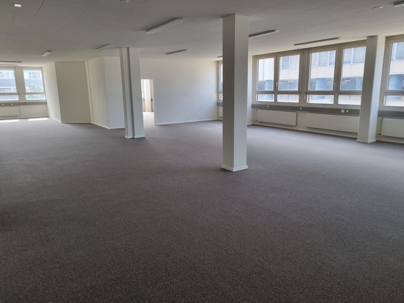 Espaces de bureau lumineux à louer dans la zone industrielle de Dietikon (4)