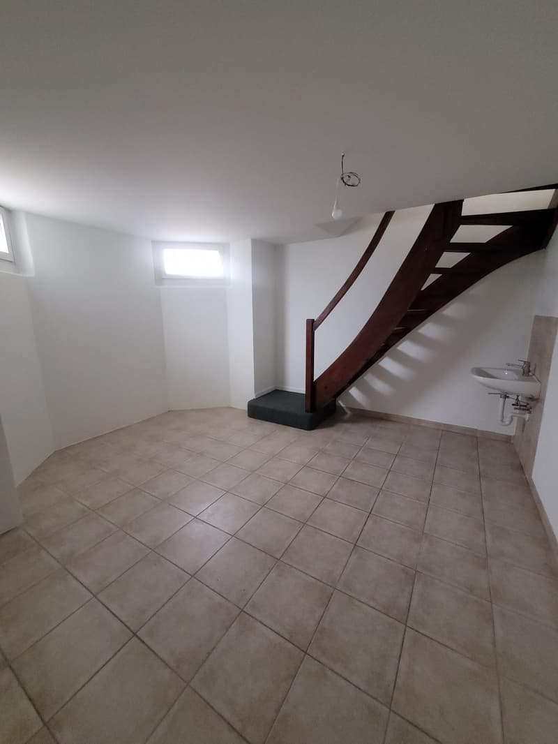 Wohnung mit grosser Terrasse an guter Lage (5)