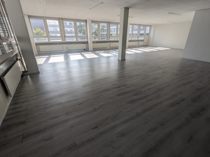 300m² Büro, 8953 Dietikon (3)